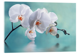 Akrylbilde  Orchid with Reflection II - Atteloi