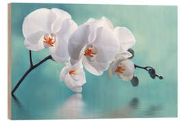 Holzbild  Orchidee mit Spiegelung II - Atteloi