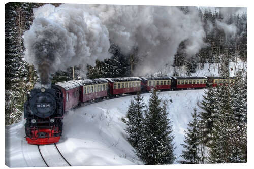 Leinwandbild Brockenbahn