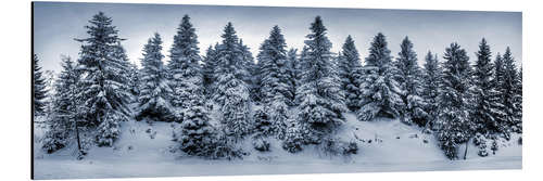 Tableau en aluminium Harz en hiver