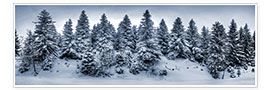 Tableau Harz en hiver - Steffen Gierok