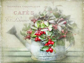 Magnettafel red berries