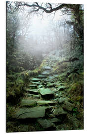 Aluminiumtavla Mystical stairs