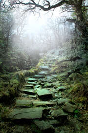 Magnettafel Mystische Treppe