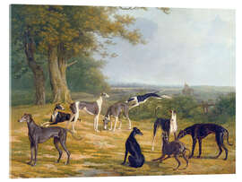 Akryylilasitaulu  Nine Greyhounds on a landscape - Jacques Laurent Agasse