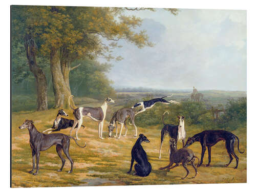 Aluminium print Nine Greyhounds on a landscape