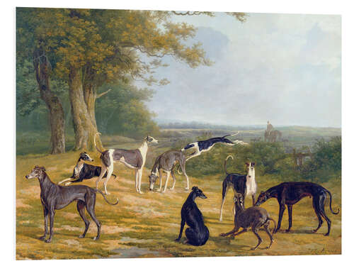 Foam board print Nine Greyhounds on a landscape