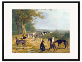 Gerahmter Kunstdruck Neun Windhunde in einer Landschaft