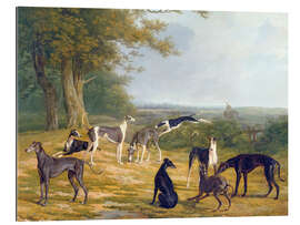 Gallery Print Neun Windhunde in einer Landschaft