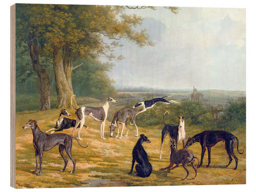 Quadro de madeira Nine Greyhounds on a landscape