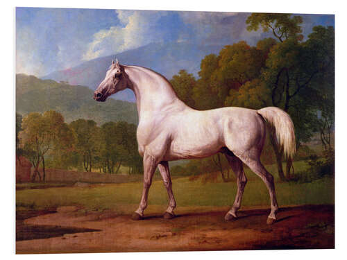 Foam board print Racehorse Mambrino