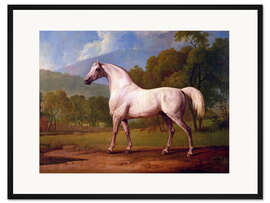 Gerahmter Kunstdruck Rennpferd Mambrino