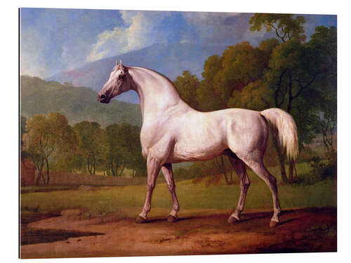 Galleriprint Racehorse Mambrino