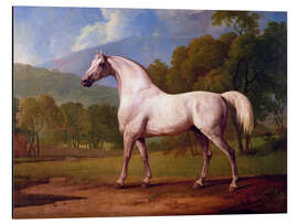 Magnettafel Rennpferd Mambrino