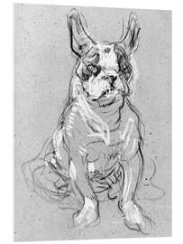 Foam board print 'Bouboule', the bulldog of Madame Palmyre at La Souris