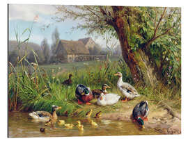 Magnettafel Mallard Enten mit ihren Entenküken