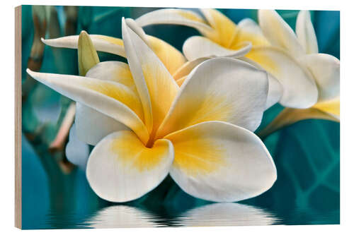 Tableau en bois Fleurs de frangipanier
