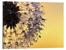 Magnettafel Pusteblume Yellow