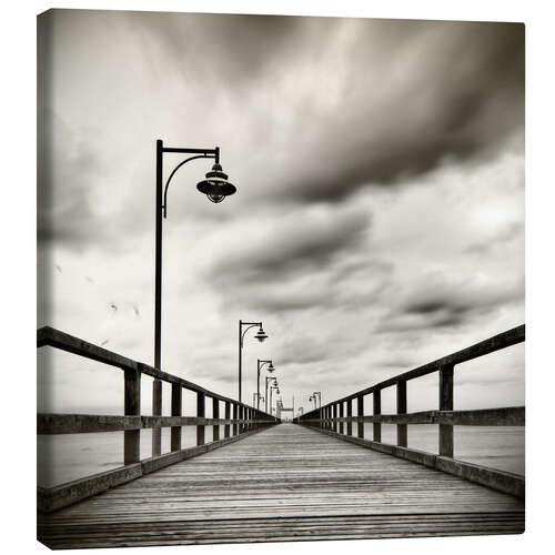 Stampa su tela sea bridge with seagulls | sw