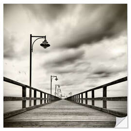 Vinilo para la pared sea bridge with seagulls | sw