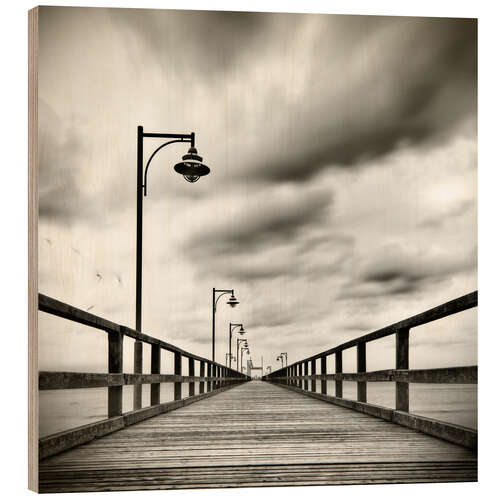 Wood print sea bridge with seagulls | sw