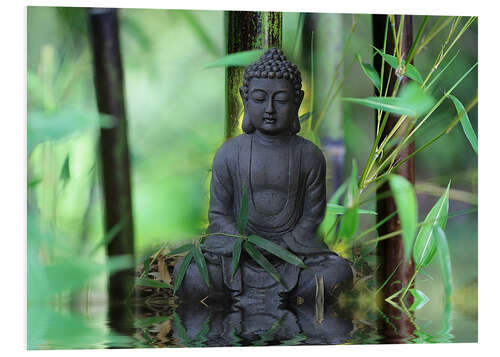 Foam board print Bamboo Buddha