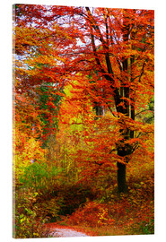 Acrylglasbild Herbst - Falko Follert