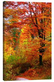 Canvas print  Autumn - Falko Follert