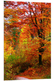 Foam board print Autumn