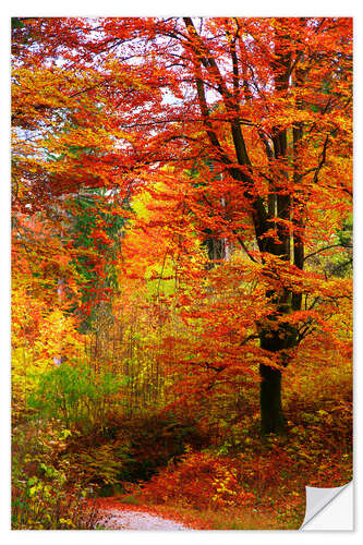 Vinilo para la pared Otoño