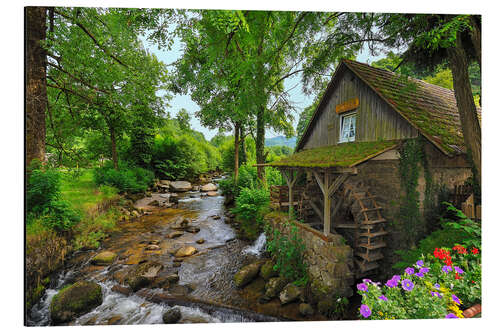 Cuadro de aluminio Mill in the black forest