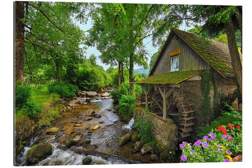 Quadro em plexi-alumínio Mill in the black forest