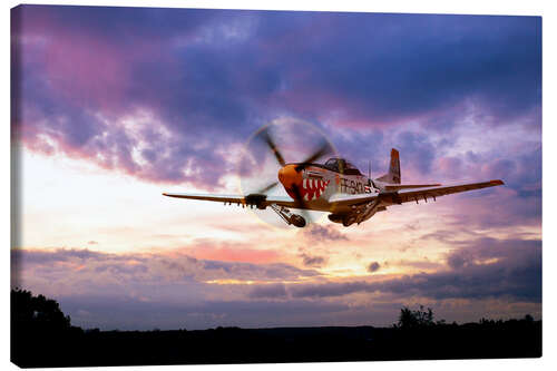 Canvas print Mustang Scramble