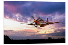 Foam board print Mustang Scramble