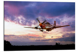 Magnettafel Mustang Scramble