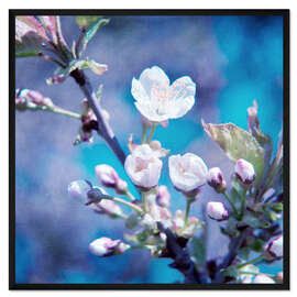 Gerahmter Kunstdruck KIRSCHBLÜTE