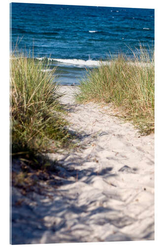 Acrylic print White dune on the beach of the island of Rügen