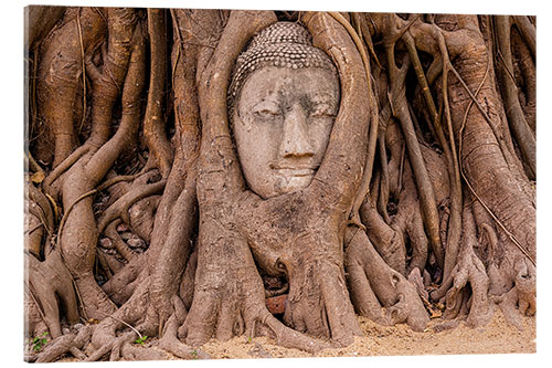 Acrylglasbild Buddha-Kopf Ayutthaya Thailand