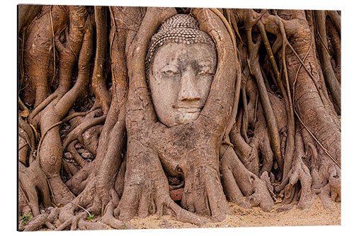 Alubild Buddha-Kopf Ayutthaya Thailand