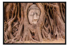 Gerahmter Kunstdruck Buddha-Kopf Ayutthaya Thailand