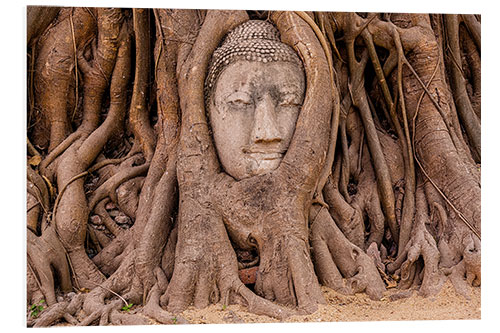 Hartschaumbild Buddha-Kopf Ayutthaya Thailand