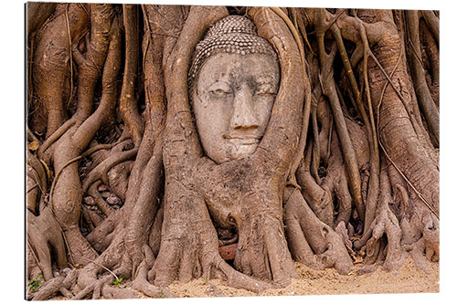 Gallery print Buddha head sculpture Ayutthaya Thailand