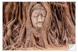 Sticker mural Tête de Bouddhaen à Ayutthaya en Thaïlande