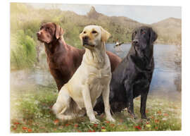 Foam board print Labrador Retrievers