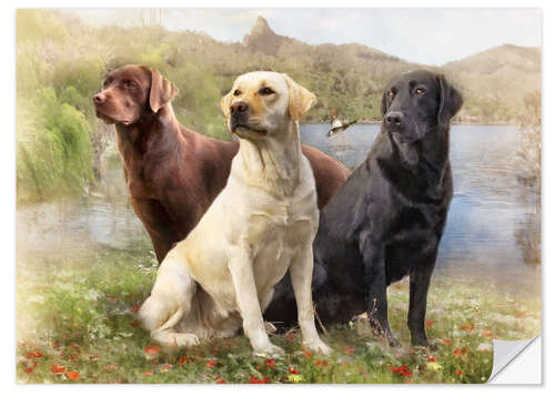 Wall sticker Labrador Retrievers