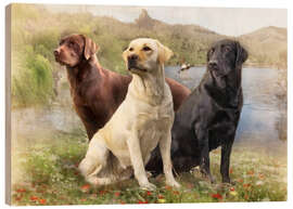 Wood print Labrador Retrievers