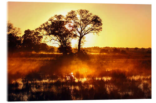 Akrylglastavla Morning in Africa