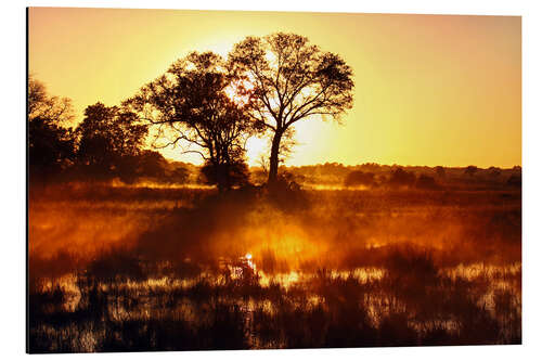 Tableau en aluminium Le matin en Afrique 