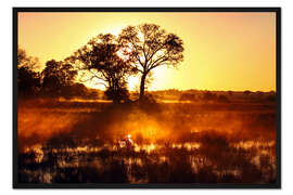 Gerahmter Kunstdruck Morgens in Afrika