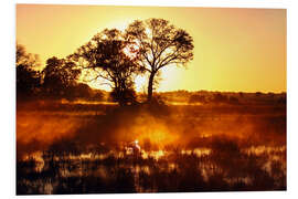 Foam board print Morning in Africa